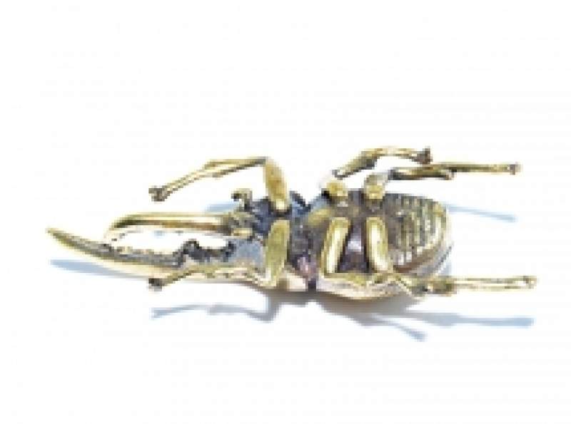 Preview: Dynastes Figur aus Metall